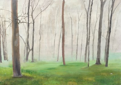 туманный лес 2020