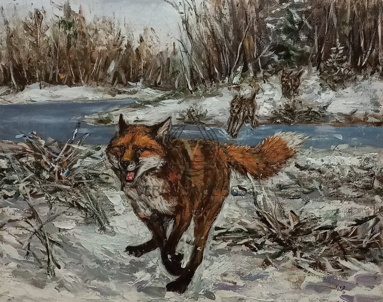 Погоня за лисом.