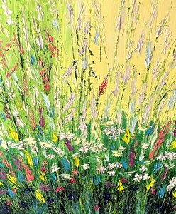 Полевые цветы