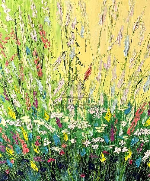 Полевые цветы