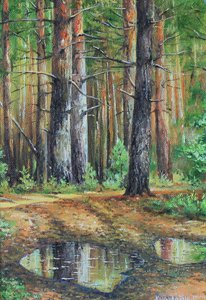 Шопот сосново бора