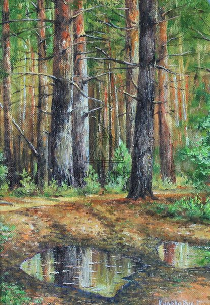 Шопот сосново бора