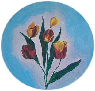Турецкие тюльпаны. Серия цветы
