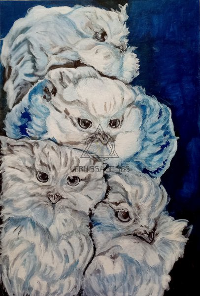 Полярные совы