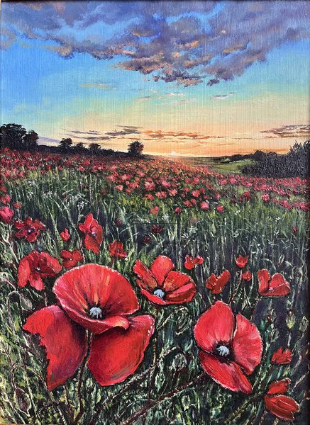 Маки на закате