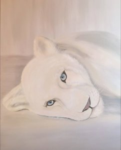 Белая львица