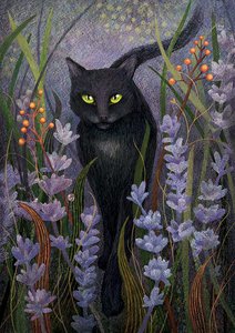 Кошка Софа и ее тайна.