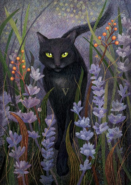 Кошка Софа и ее тайна.