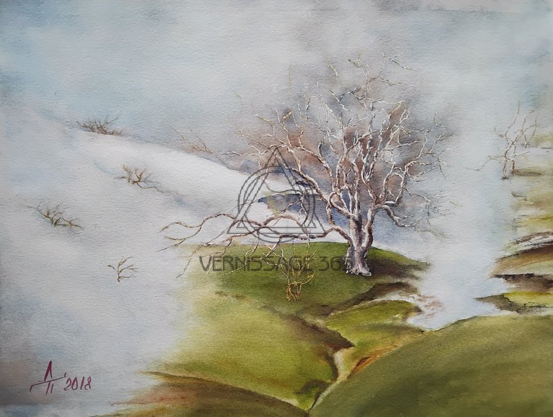 Зимнее Пробуждение