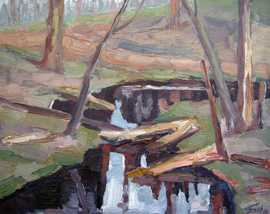 Ручей с чёрной водой