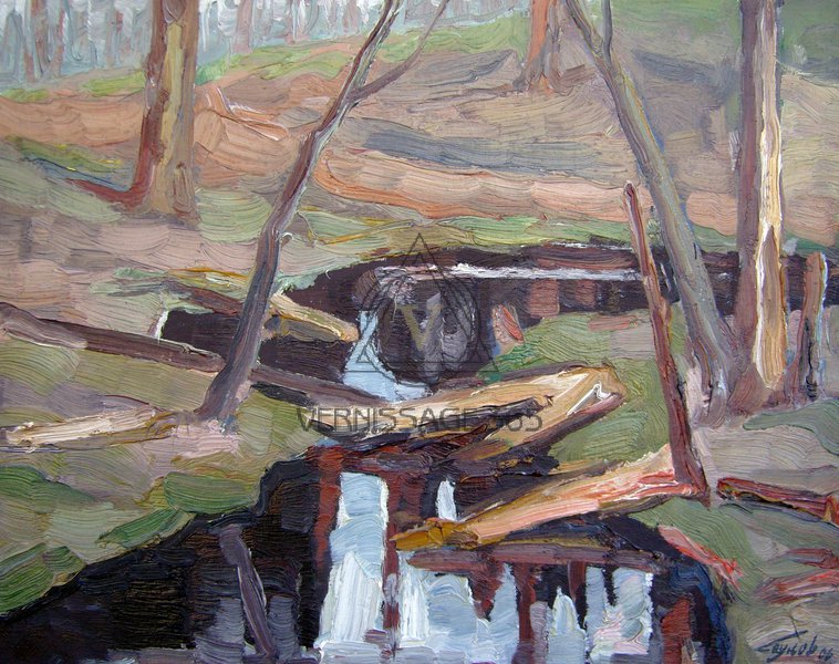 Ручей с чёрной водой