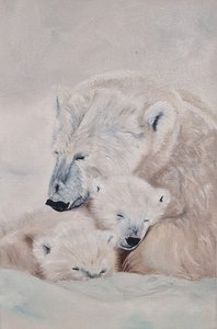 Белые медведи