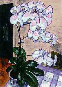 Сонная орхидея