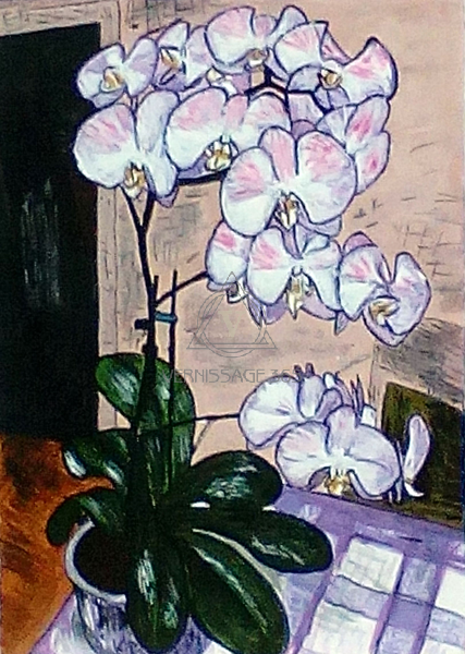 Сонная орхидея