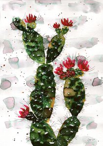 Кактус зацвел на фоне кирпичной стены