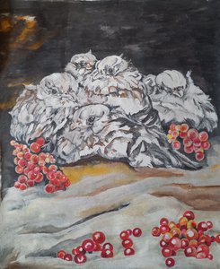 Куропатки зимней ночью