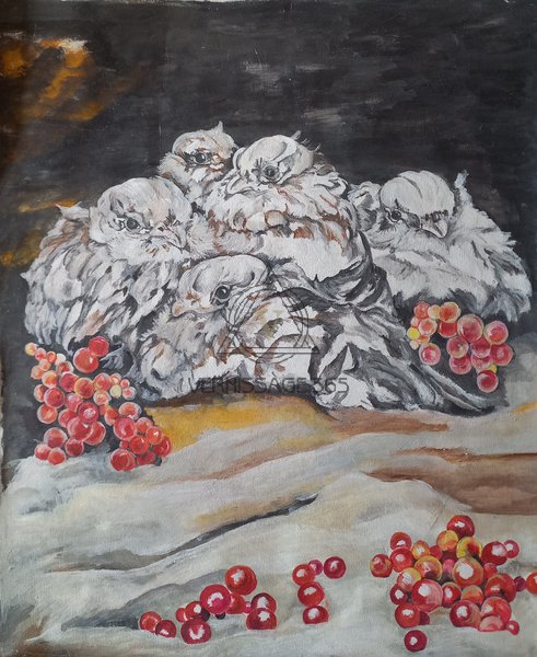 Куропатки зимней ночью