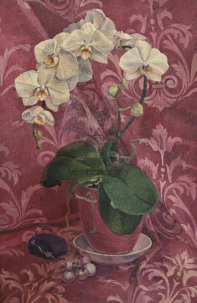 Орхидея в цвету