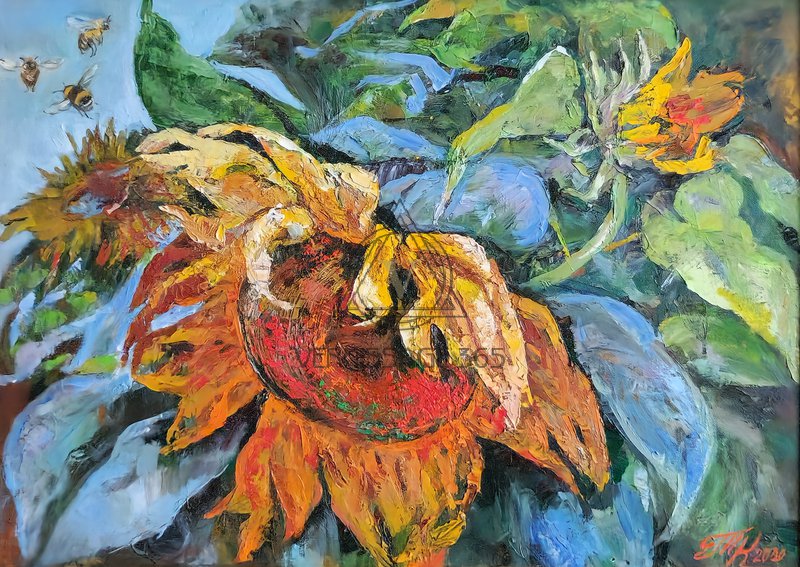 Подсолнухи