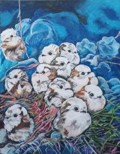 Птички-белогрудые синички