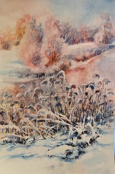 Розовый восход