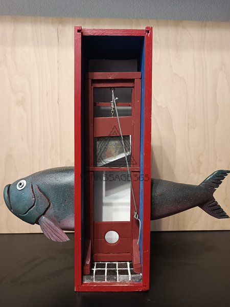 Fish day. Heads and tails.