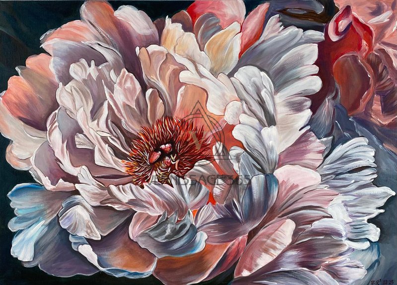 Цветение пиона