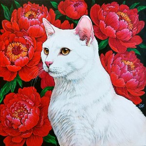 Белая кошка