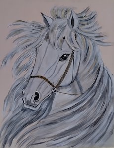 Белая лошадь 1