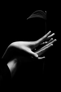 Тонкий изгиб