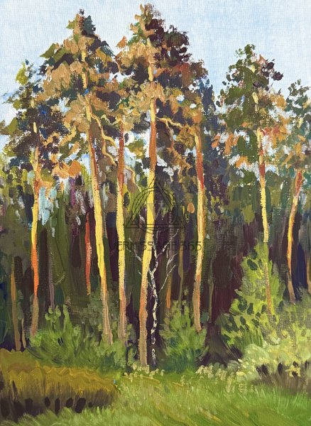 Теплый вечер