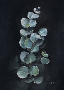 Эвкалипт #2