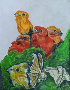 Сон о птицах.Пробуждение.