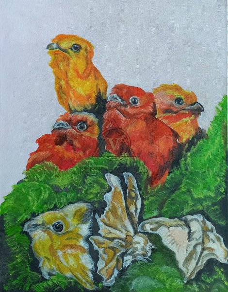 Сон о птицах.Пробуждение.