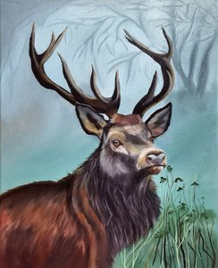 Благородный олень