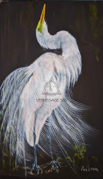 Белая цапля, смотрящая вверх