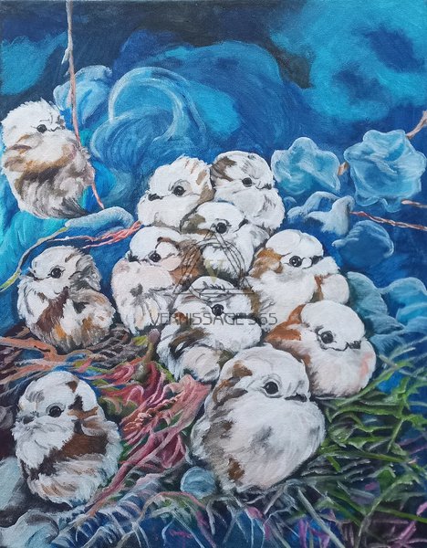 Птички-белогрудые синички