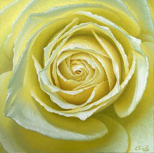 Желтая роза