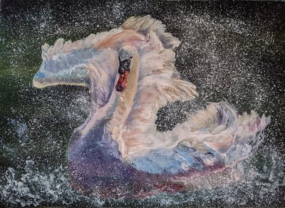 Лебедь в брызгах воды