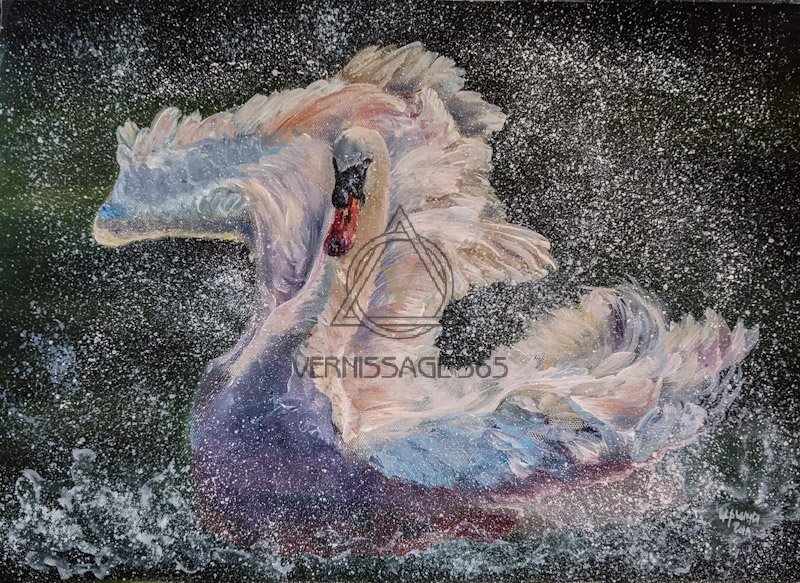 Лебедь в брызгах воды