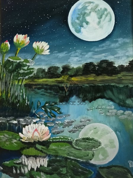 Кувшинки под луной