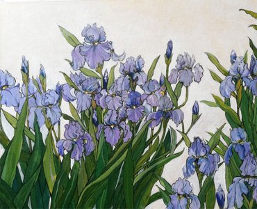 Ирисы
