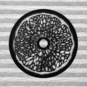 Citrus Цитрус в разрезе