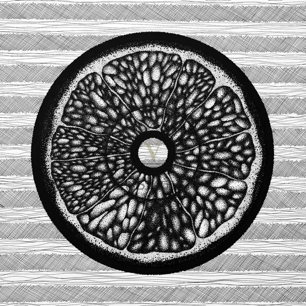 Citrus Цитрус в разрезе