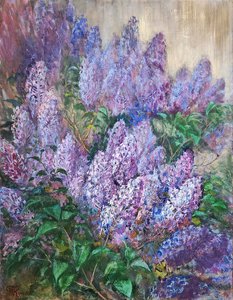 Куст сирени