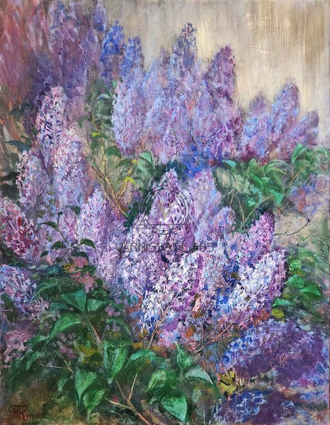 Куст сирени