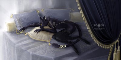 Фурри Черная кошка