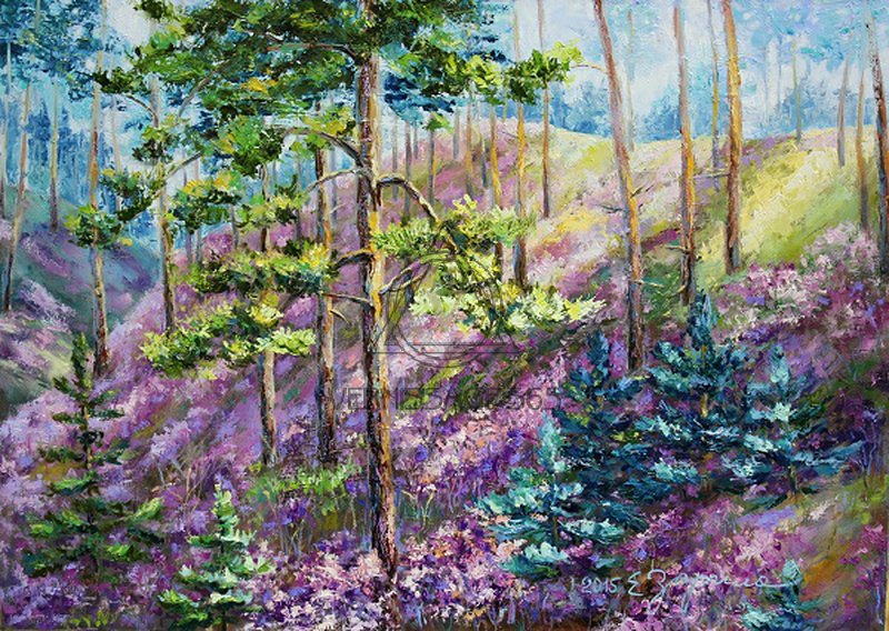 Весна, цветение багульника