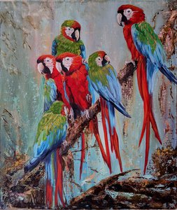 Семейство попугаев