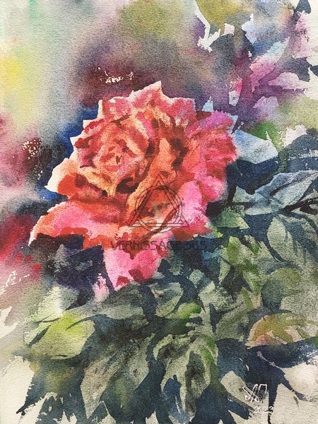 Красная роза